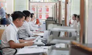 Hồ sơ cần có khi tuyển dụng công chức không qua thi tuyển