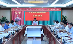 Bộ Chính trị, Ban Bí thư quyết định thi hành kỷ luật tổ chức đảng và đảng viên vi phạm