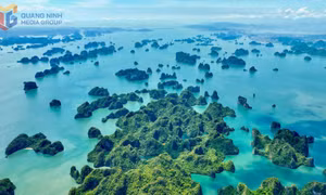 Ngắm vịnh Hạ Long đẹp say lòng
