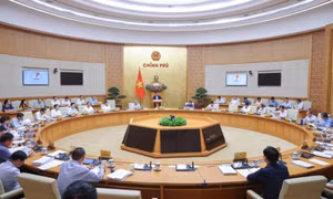 Quyết tâm cao, nỗ lực lớn, hành động quyết liệt để vượt các mục tiêu, chỉ tiêu của năm 2025