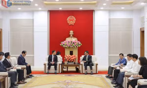 Phó Chủ tịch Thường trực UBND tỉnh tiếp và làm việc với Hiệp hội Doanh nghiệp Hàn Quốc tại Việt Nam