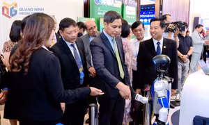 Thúc đẩy khởi nghiệp sáng tạo
