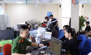 Phường Móng Cái 1: Đưa nghị quyết vào cuộc sống