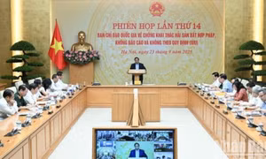 Nỗ lực sớm gỡ bỏ “Thẻ vàng” IUU đối với hải sản xuất khẩu