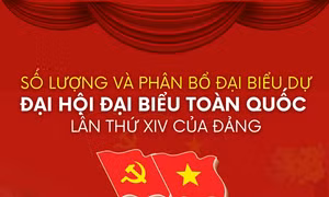 Số lượng và phân bổ đại biểu dự Đại hội XIV của Đảng