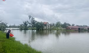 Đẩy mạnh cho vay vốn nông nghiệp, nông thôn
