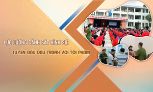 Lực lượng Cảnh sát hình sự: Tuyến đầu đấu tranh với tội phạm