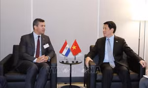 Chủ tịch nước gặp mặt các nguyên thủ, nhà lãnh đạo nhân dự Tuần lễ LHQ