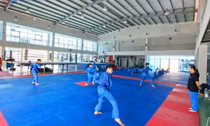 Hành trình vượt khó của Vovinam Quảng Ninh