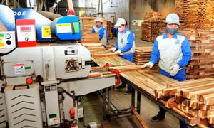 Doanh nghiệp thành lập mới và quay lại hoạt động tăng 19,3%