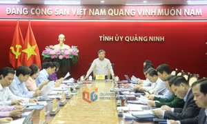 Ban Thường vụ Tỉnh ủy thảo luận về tình hình phát triển KT-XH 3 tháng đầu năm