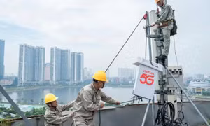 Không tổ chức đấu giá tần số 713-723 MHz và 768-778 MHz vì thiếu doanh nghiệp