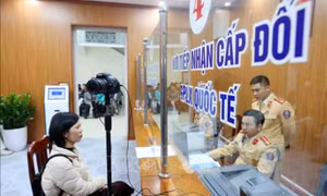 Cấp giấy phép lái xe cho người đạt kết quả kỳ sát hạch trong thời hạn 7 ngày làm việc 