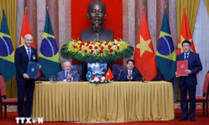 Quan hệ Đối tác chiến lược Việt Nam-Brazil ngày càng đi vào chiều sâu