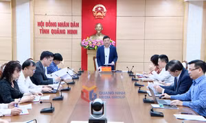 Ủy ban Kiểm tra Đảng ủy UBND tỉnh triển khai nhiệm vụ quý II