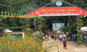 Xu hướng du lịch thời bão giá