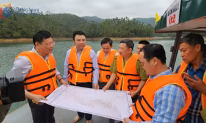 Lãnh đạo tỉnh khảo sát, kiểm tra công tác quản lý hồ và rừng phòng hộ hồ Yên Lập