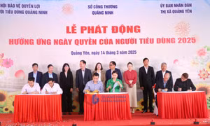Mua sắm online: Lợi ích và rủi ro