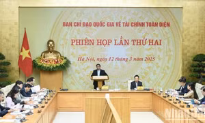 Nỗ lực xây dựng chiến lược tài chính toàn diện quốc gia bảo đảm sát thực tế, hiệu quả