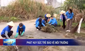 Phát huy sức trẻ bảo vệ môi trường