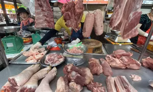 Giá thịt heo giảm mạnh