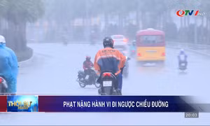Phạt nặng hành vi đi ngược chiều đường
