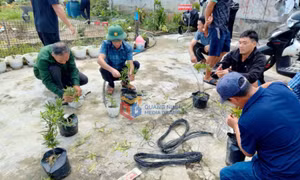 Từng bước xây dựng lực lượng lao động có kiến thức, tay nghề cao