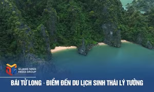 Bái Tử Long - Điểm đến du lịch sinh thái lý tưởng
