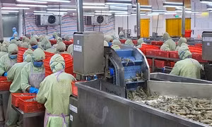 Căng thẳng thương mại: Ngành gỗ lo, ngành thủy sản, trái cây tìm cơ hội