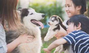 Cách cha mẹ giúp con khơi dậy tình yêu thương động vật