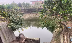 Hai anh em ruột đuối nước thương tâm trong ao nhà