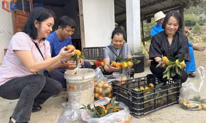 Vốn tín dụng chính sách: Điểm tựa sinh kế của người dân vùng đồng bào dân tộc