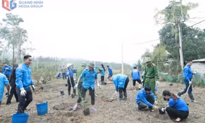 Tuổi trẻ Quảng Ninh sáng tạo, bứt phá