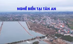 Nghề biển ở Tân An
