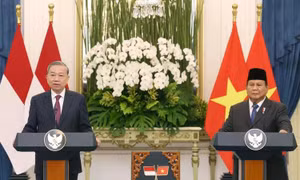 Việt Nam-Indonesia nâng cấp lên quan hệ Đối tác chiến lược toàn diện