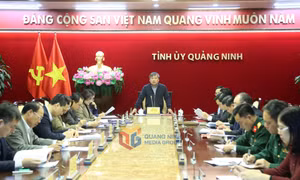 Giao ban công tác nội chính, phòng chống tham nhũng, lãng phí, tiêu cực và cải cách tư pháp