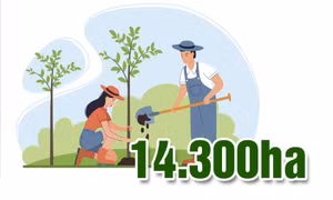 14.300ha - là mục tiêu trồng rừng quý I/2025 toàn tỉnh Quảng Ninh