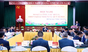 BCH Đảng bộ Than Quảng Ninh sơ kết công tác quý I/2025