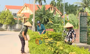 Các tổ chức tôn giáo chung tay bảo vệ môi trường