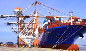 Các dự báo về tăng trưởng GDP năm 2025 của Việt Nam
