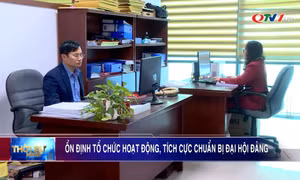 Ổn định tổ chức hoạt động, tích cực chuẩn bị Đại hội Đảng