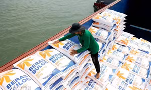 Thủ tướng yêu cầu nâng cao năng lực cạnh tranh, làm lành mạnh thị trường lúa gạo