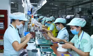 Vốn FDI tập trung vào những địa phương có hạ tầng tốt