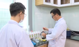 Bacte - Chế phẩm sinh học bảo vệ thực vật ưu việt