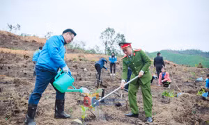 Tuổi trẻ TP Hạ Long: Tiên phong, khát vọng, cống hiến