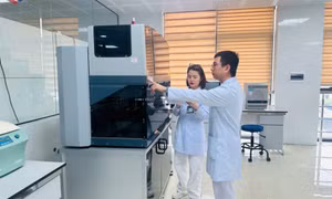 Quảng Ninh đứng thứ 6 trong cả nước về tiến độ tổng kiểm kê tài sản công 