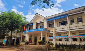 Cô giáo đánh học trò bị phạt hơn 3,7 triệu đồng 