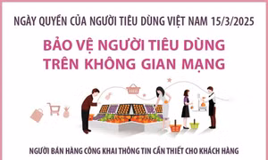 Ngày Quyền của người tiêu dùng: Bảo vệ người tiêu dùng trên không gian mạng