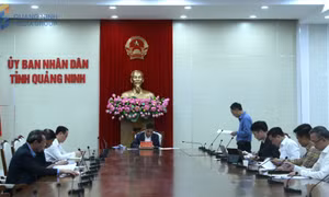 UBND tỉnh họp rà soát kết quả giải quyết kiến nghị cử tri