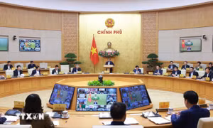 'Khẩn trương hoàn thiện tinh gọn bộ máy, chuẩn bị sắp xếp địa giới hành chính'